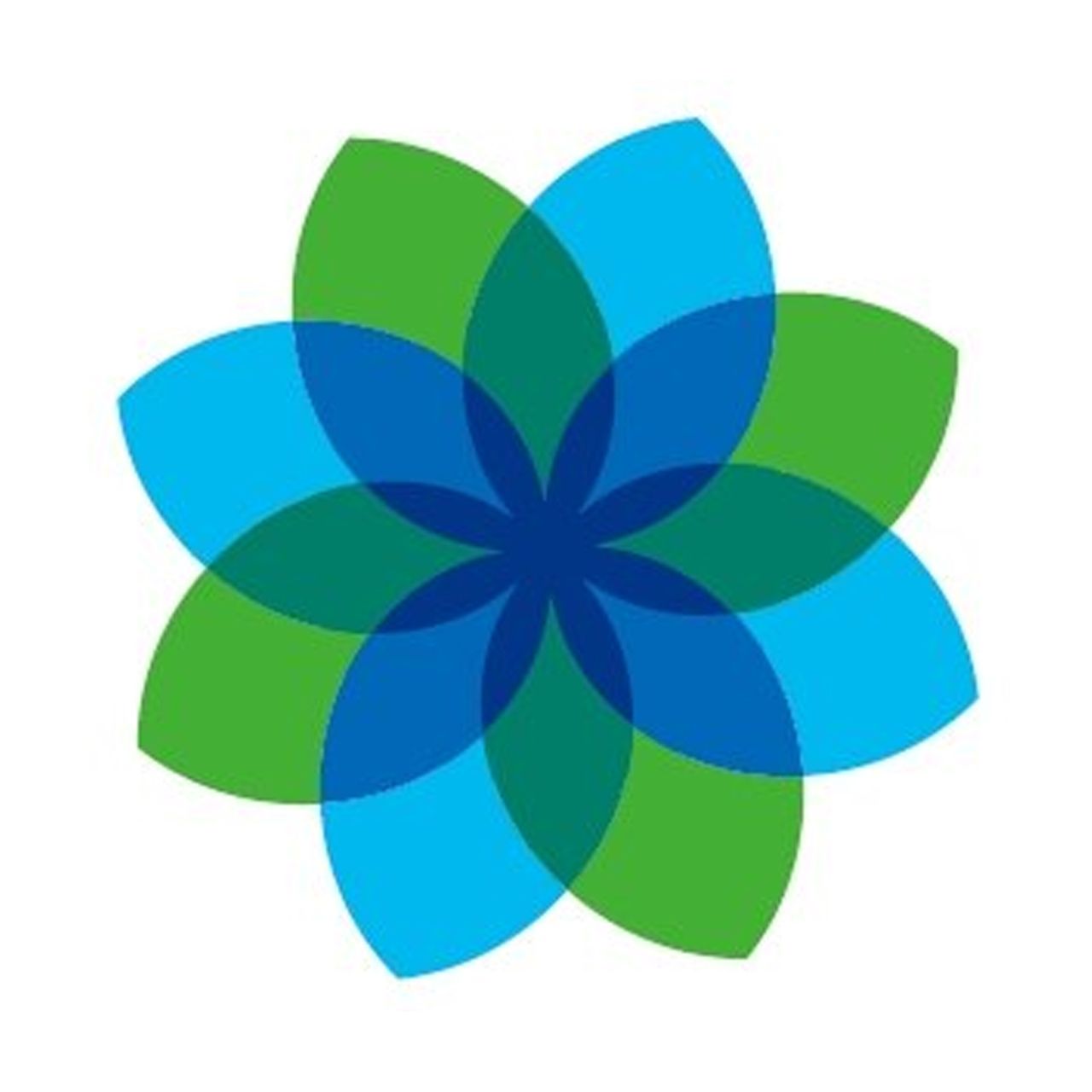 서면엘레슈의원